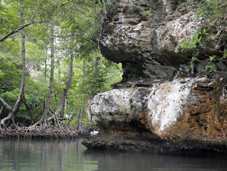 River with rock formation and mangrove trees